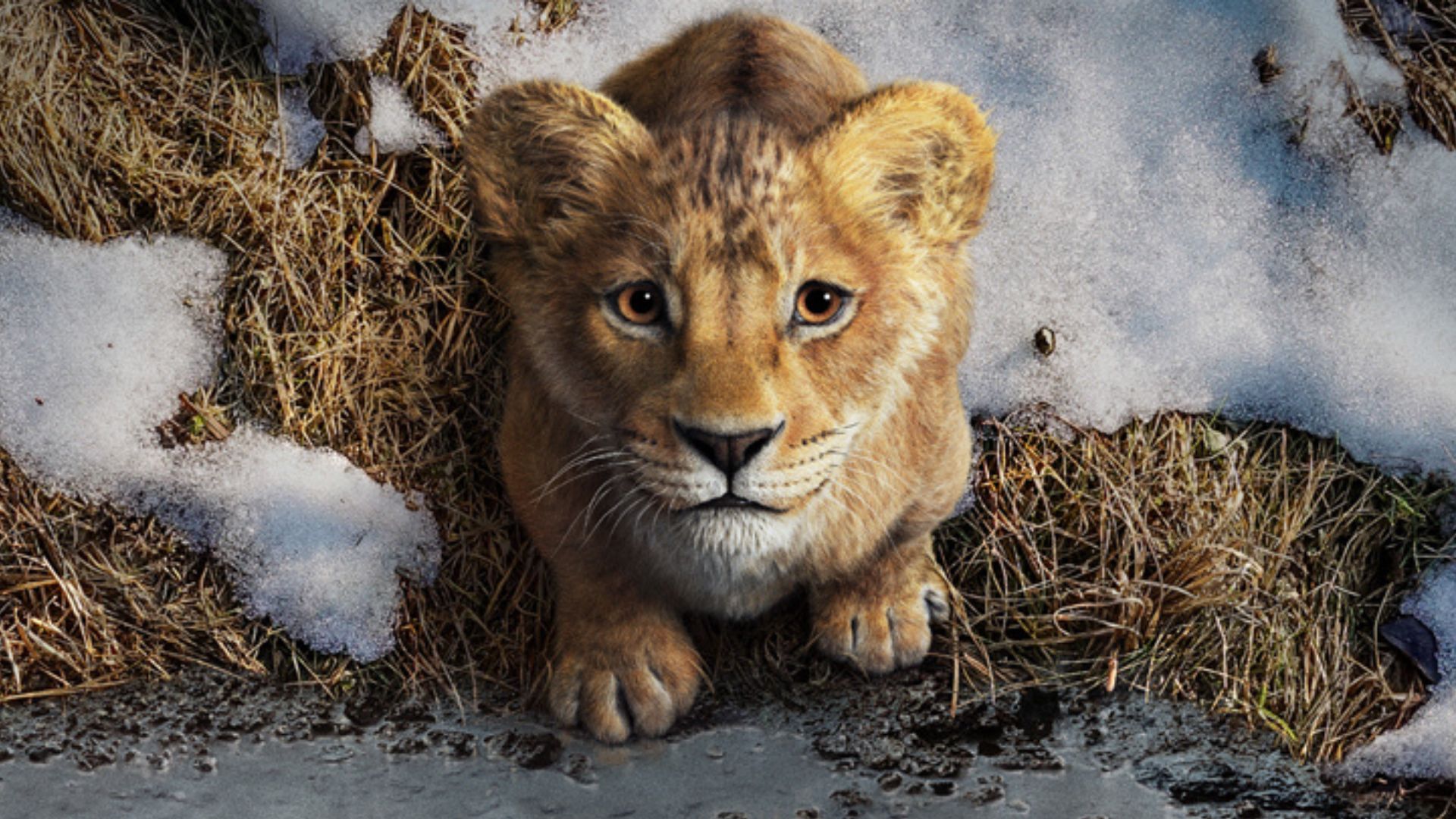Disney divulga primeiro teaser oficial de Mufasa: O Rei Leão
