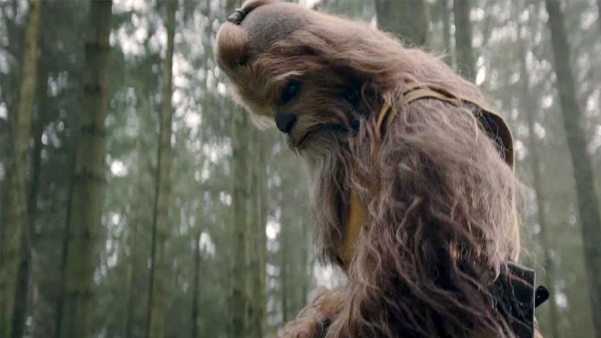 Novo teaser deStar Wars: The Acolyte tem aparição de Kelnacca, um Wookie Jedi