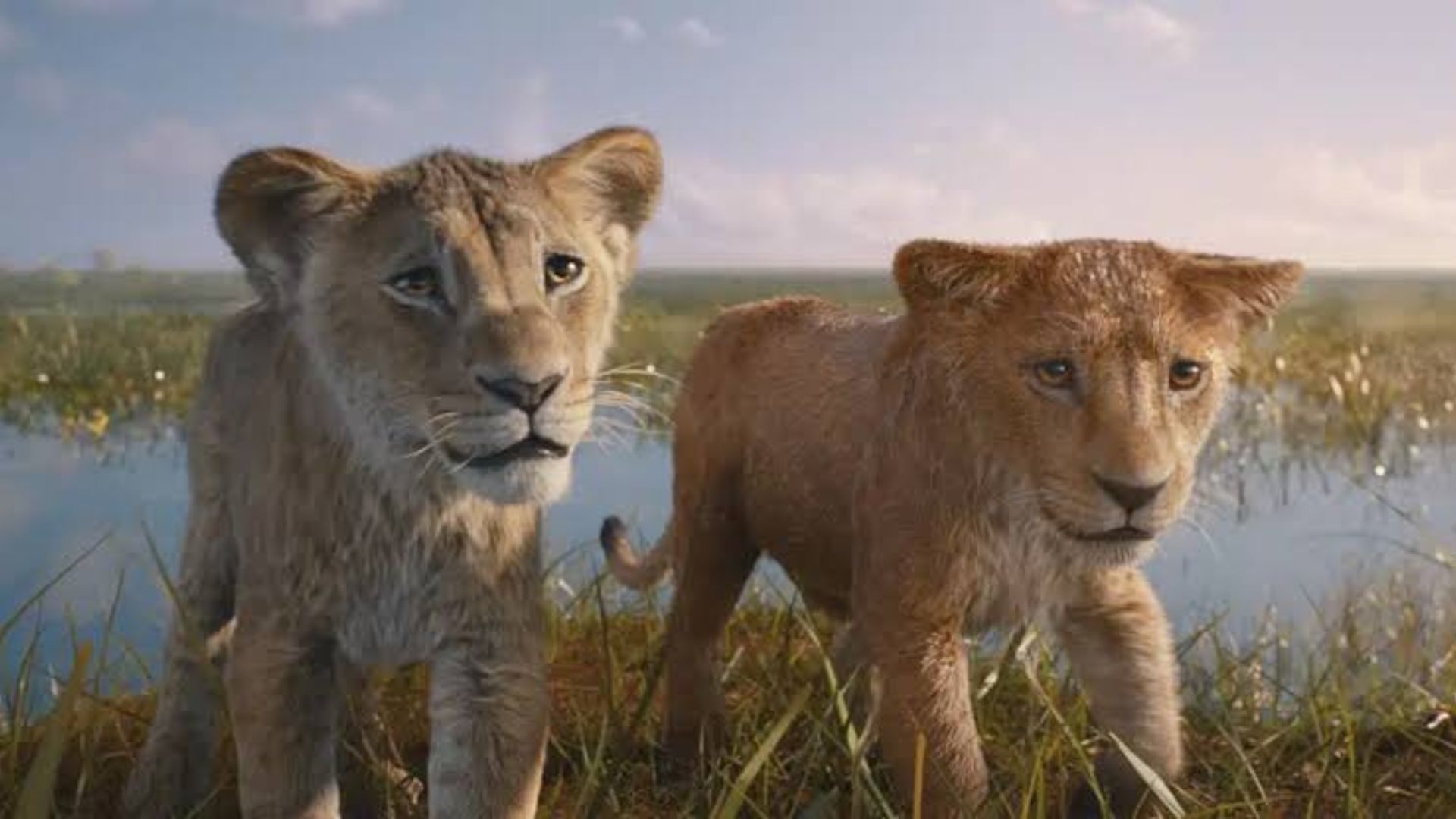 Mufasa: O Rei Leão ganha novo trailer na D23 Expo