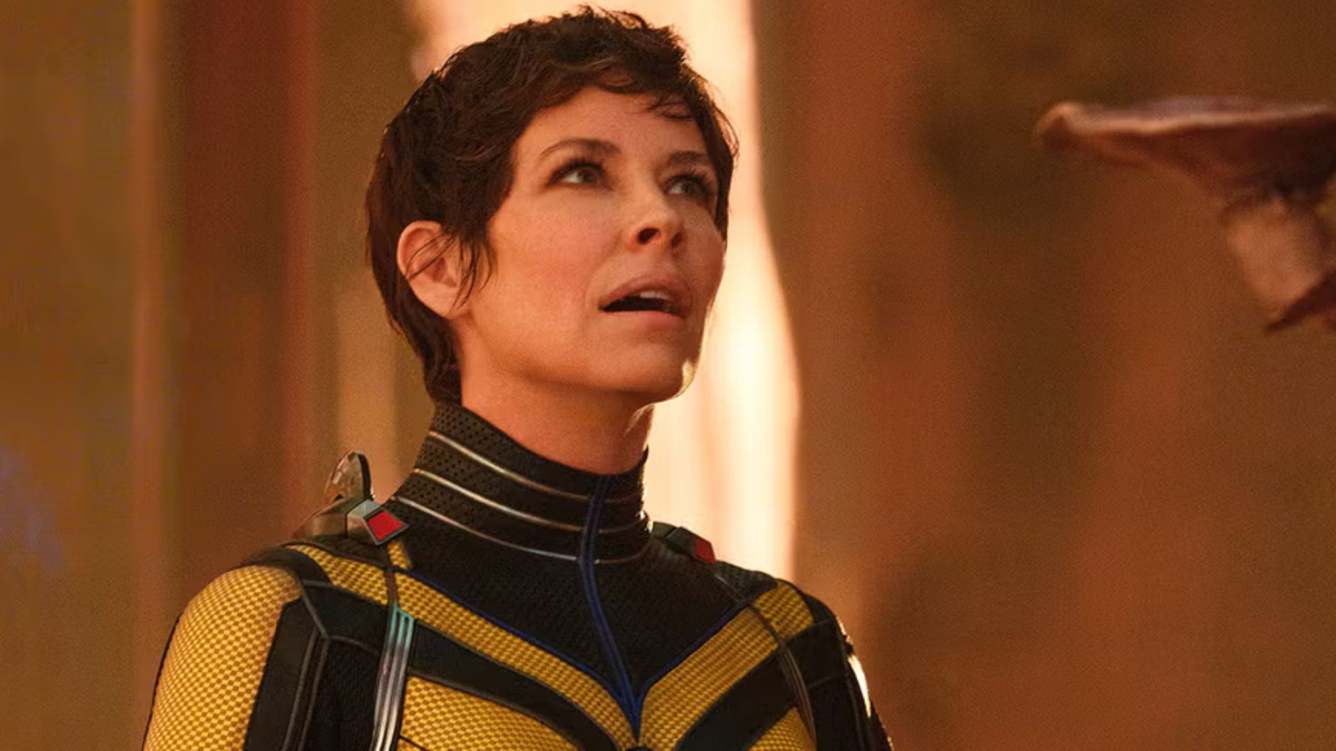 Evangeline Lilly reacende rumores de retorno ao MCU após elogiar Capitão América 2 nas redes sociais