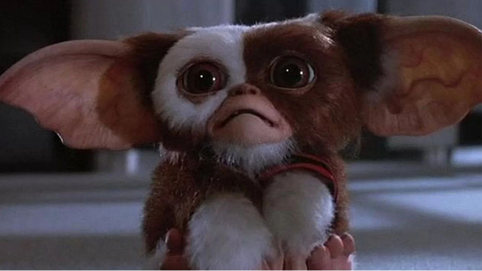 Gremlins 3 é confirmado pela Warner Bros. Discovery com estreia marcada para 2027
