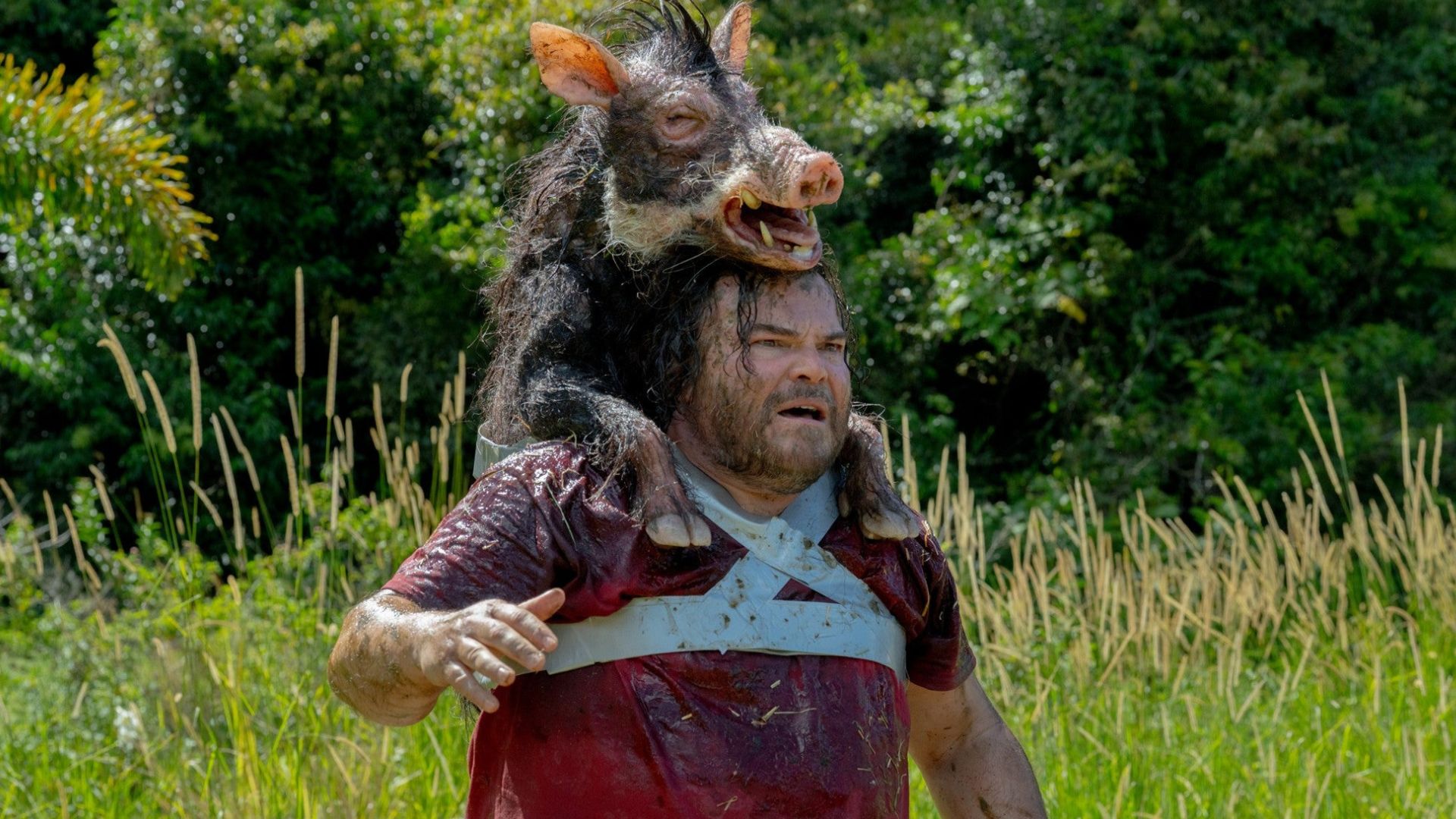 Anaconda ganha trailer final com Selton Mello e aposta em terror e comédia