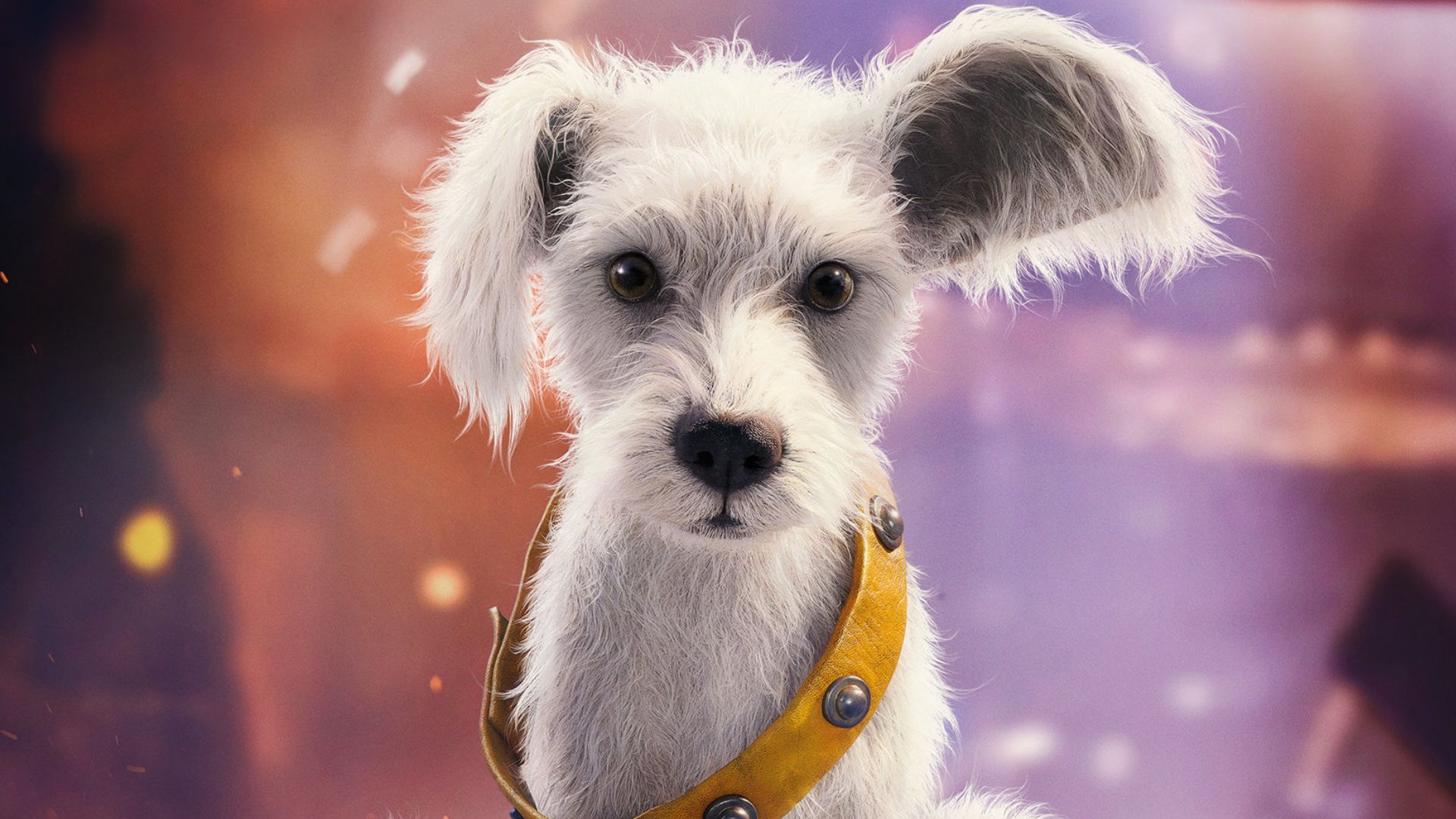 Teaser de Supergirl destaca Krypto filhote e revela versão mais sombria da heroína no novo DCU