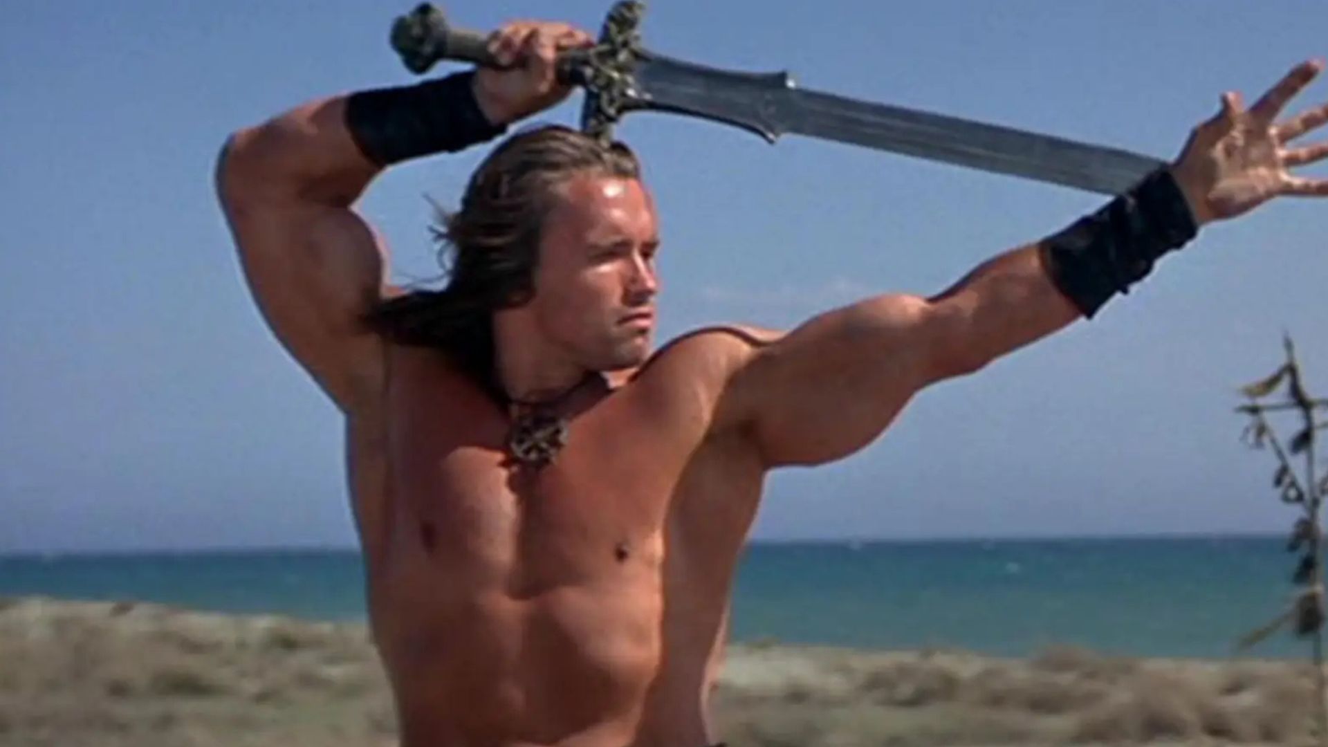 Arnold Schwarzenegger confirma desenvolvimento de filme de Rei Conan