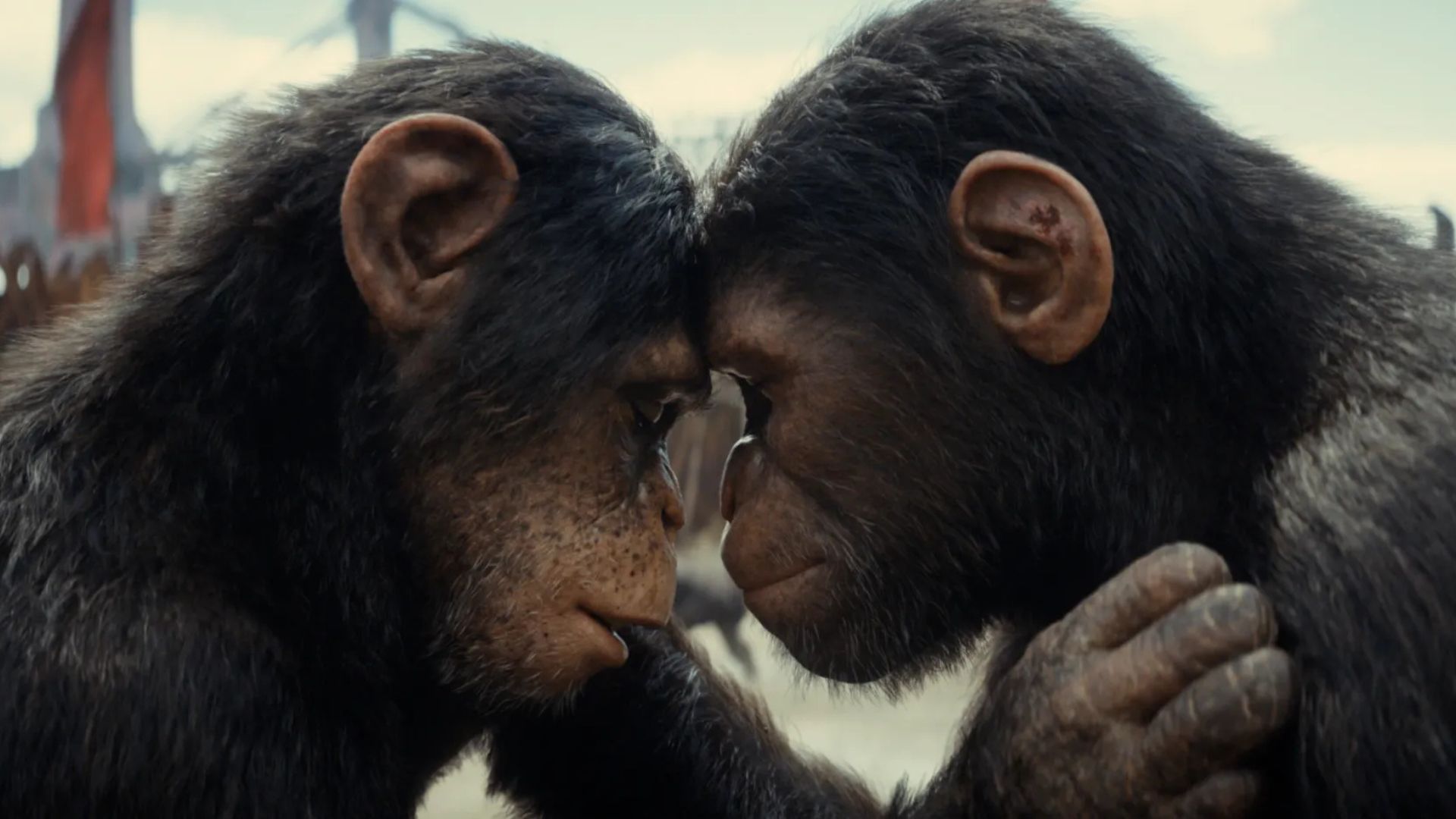 Diretor de Quarteto Fantástico e WandaVision comandará novo filme de Planeta dos Macacos